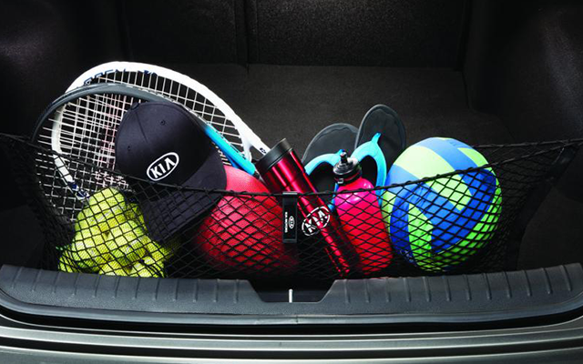 Kia Cargo Net D5F17AH000