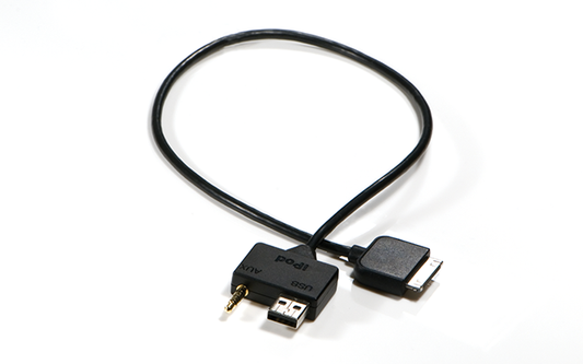 Kia iPod Cable P862000100