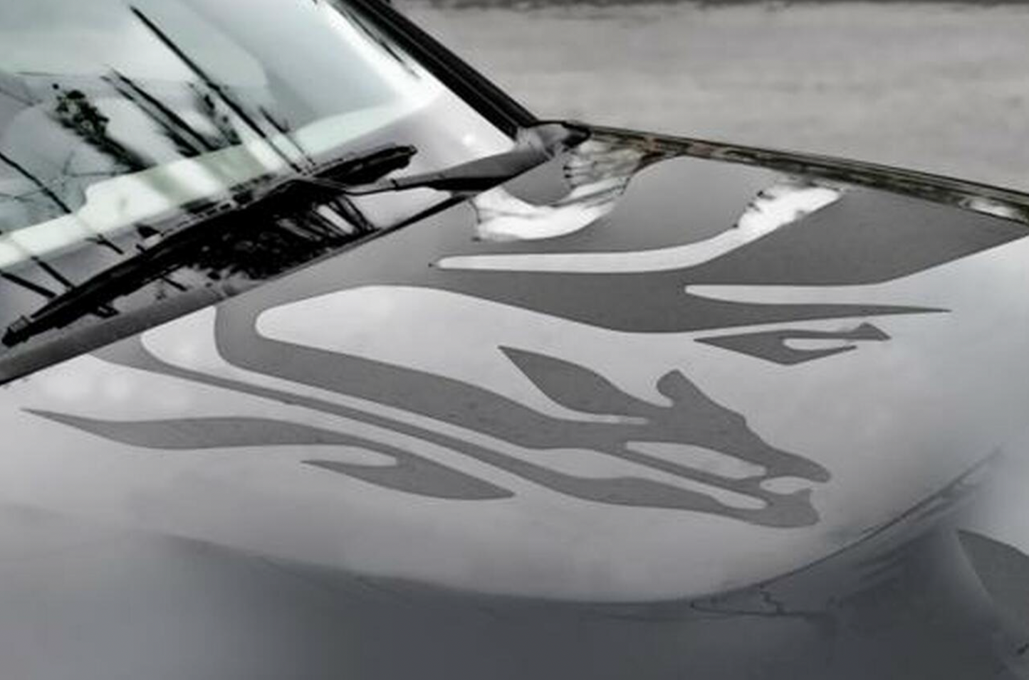 Kia Dragon Decal - Black - 2010-2011 Soul P82002K0009H